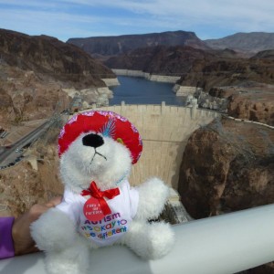 Tikko at the Hoover Dam, courtesy of Tikkotravels.org