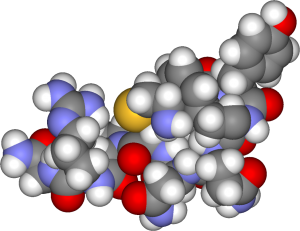 vasopressin, image taken from Wikipedia