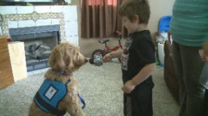 screenshot taken from WILX.com