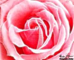 photo credit: Reuben Brewer