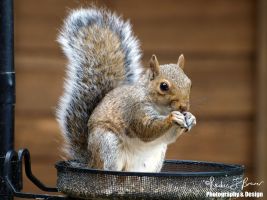 photo credit: Reuben Brewer